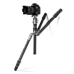 Штатив Benro FBAT24C+VX25 карбоновый с шаровой головкой