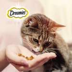 Лакомство Лосось, 60г для кошек Dreamies