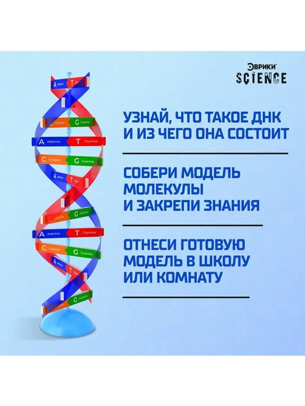 Набор для опытов «Молекула ДНК»