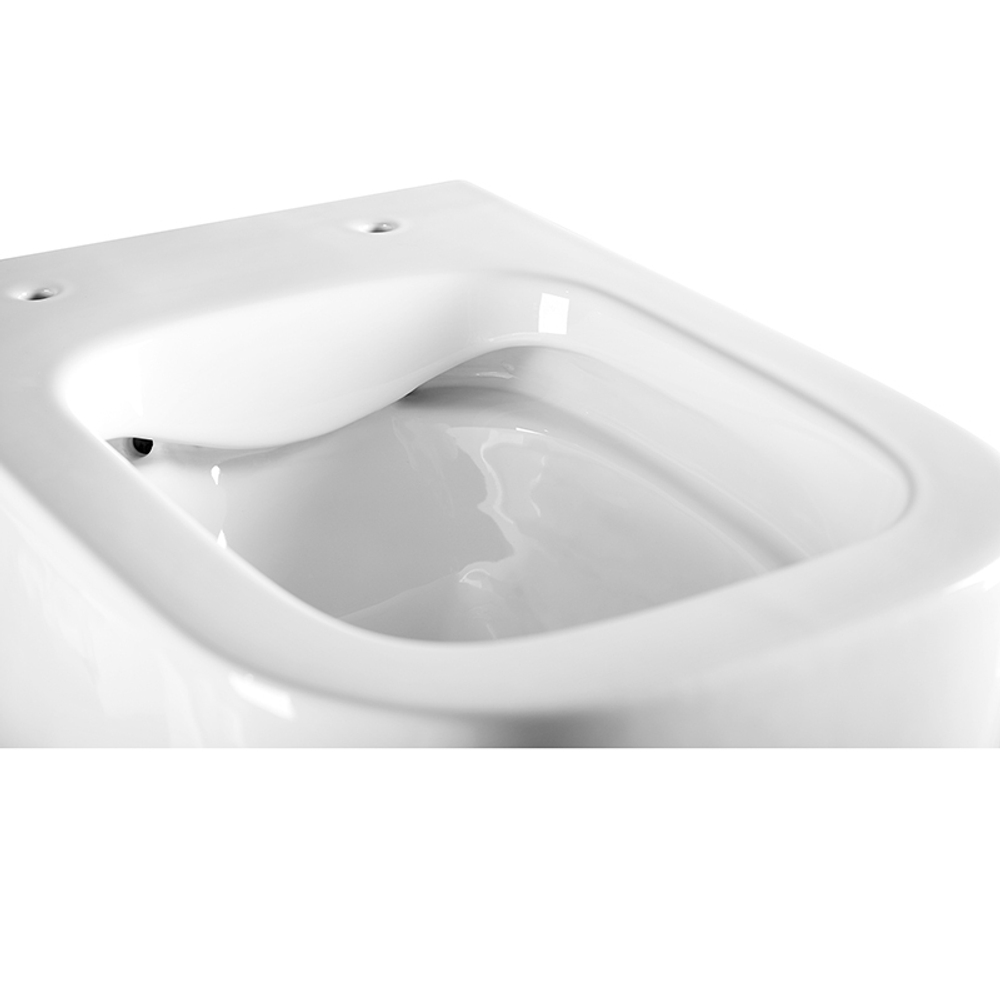 PINTO RIMLESSБезободковый подвесной унитаз EWC700-126W