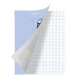 Тетрадь предметная ПАСТЕЛЬНАЯ 48 листов, обложка картон, ИНФОРМАТИКА, клетка, подсказ, BRAUBERG, 403959