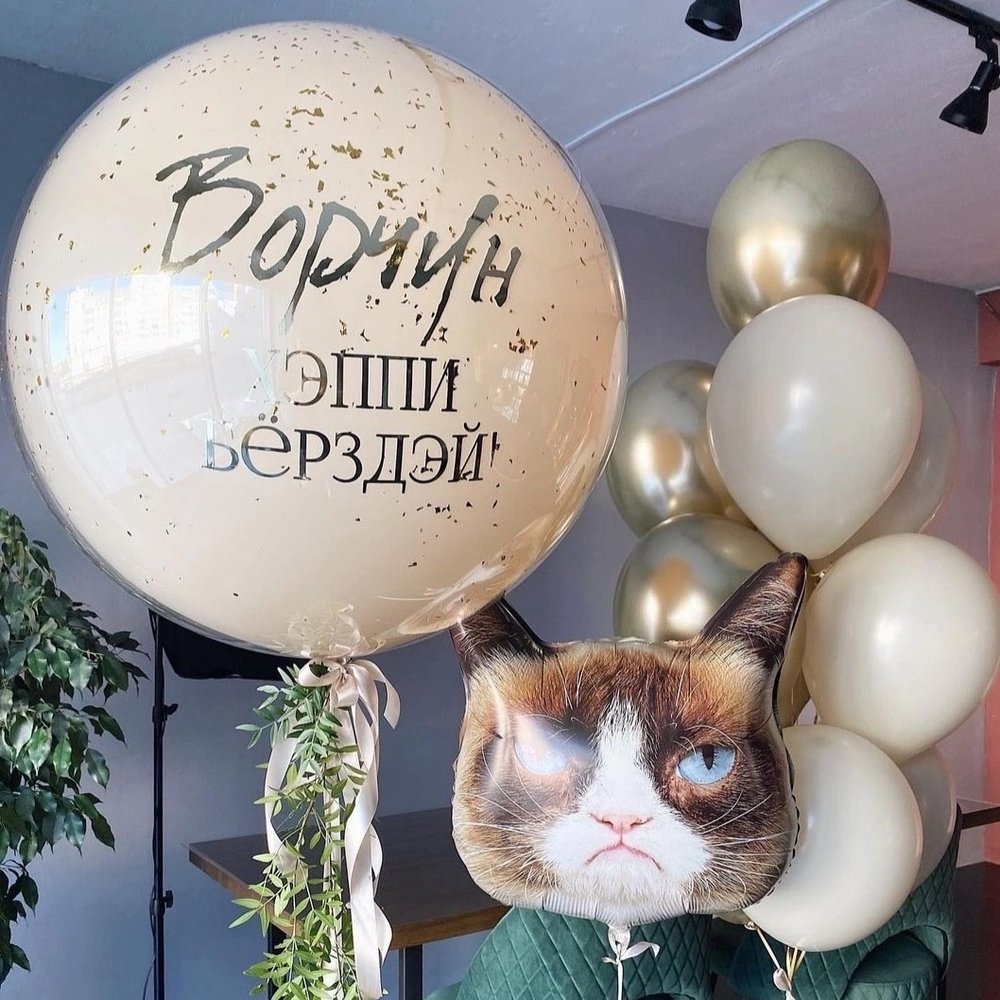 Кот ворчун (Сердитый кот)