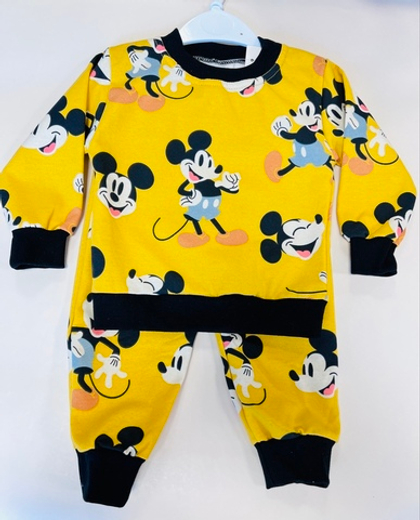 Костюм утепленый с микроначесом для малышей