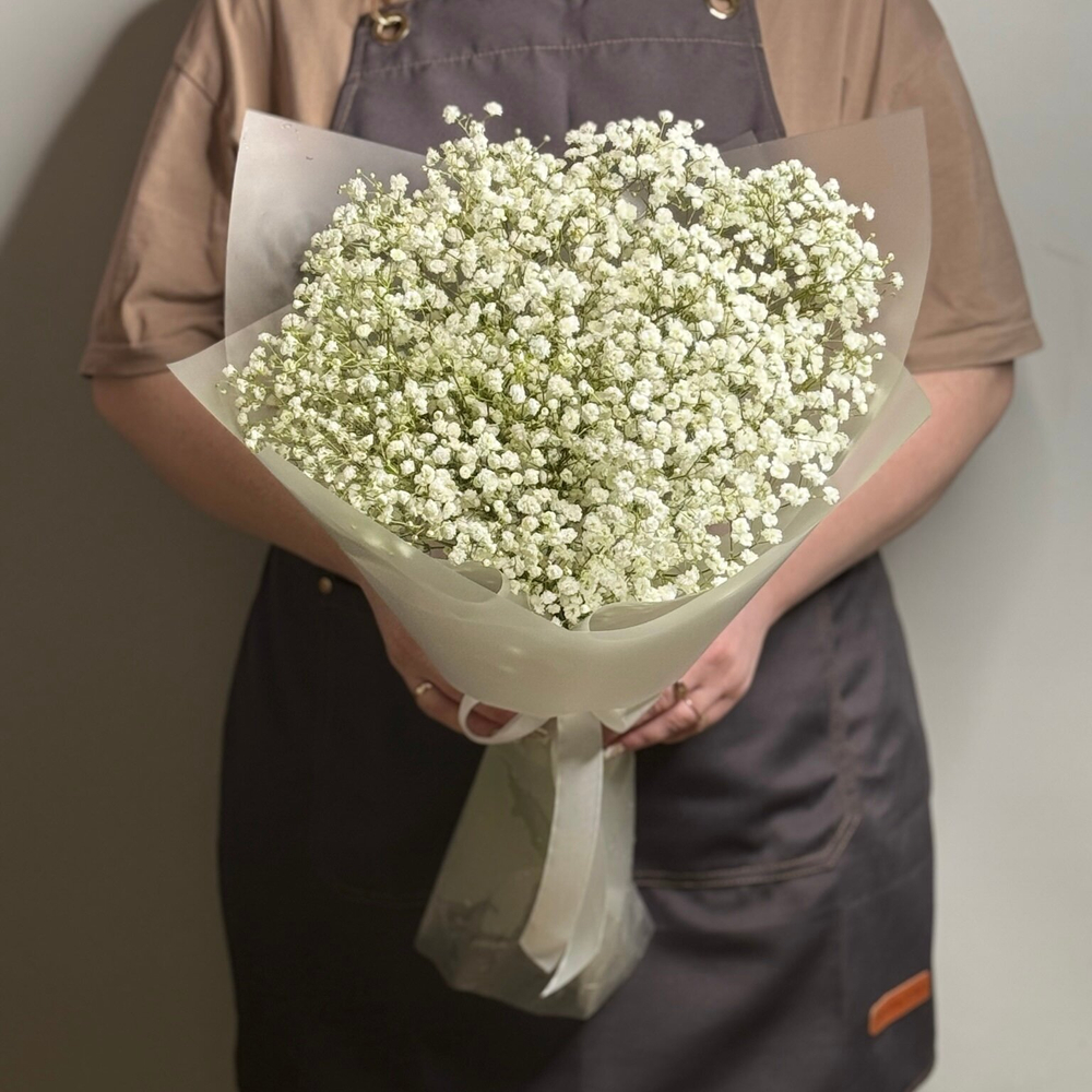 Букет из живых цветов белая гипсофила 5 шт, 50 см, в пленке, без зелени