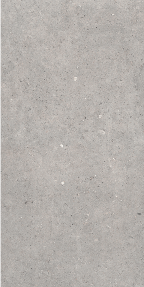 Sanchis Home Cement Stone Grey Lapp 60x120