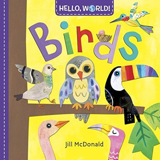 Hello, World! Birds  (board bk)