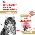 Royal Canin Maine Coon Kitten Мейн Кун Киттен Корм влажный для котят породы Мэйн Кун в возрасте до 15 месяцев соус 85г