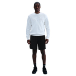Баскетбольные шорты Nike Giannis Standard Issue Shorts Black