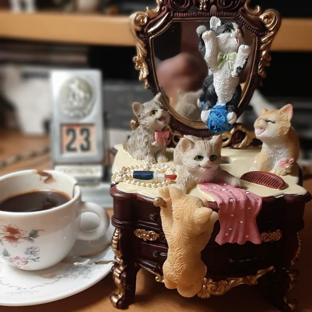 Коты на зеркале, музыкальные