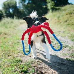 Игрушка-перетяжка RopeTugz Обезьянка ZippyPaws