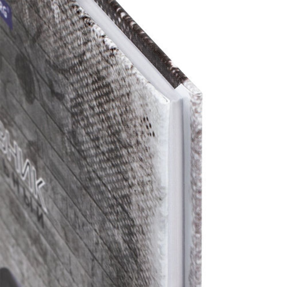 Дневник 5-11 класс 48 л., твердый, BRAUBERG, глянцевая ламинация, с подсказом, "Крутой Байк", 106391