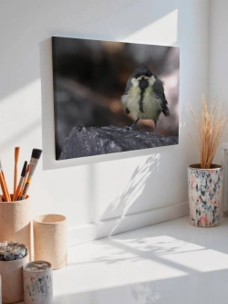 Картина на стену 40 X 50 Птица