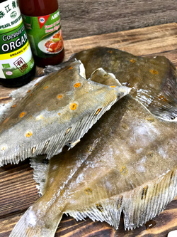 Камбала королевская