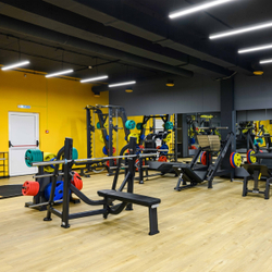 E7043 Скамья-стойка для жима штанги лежа