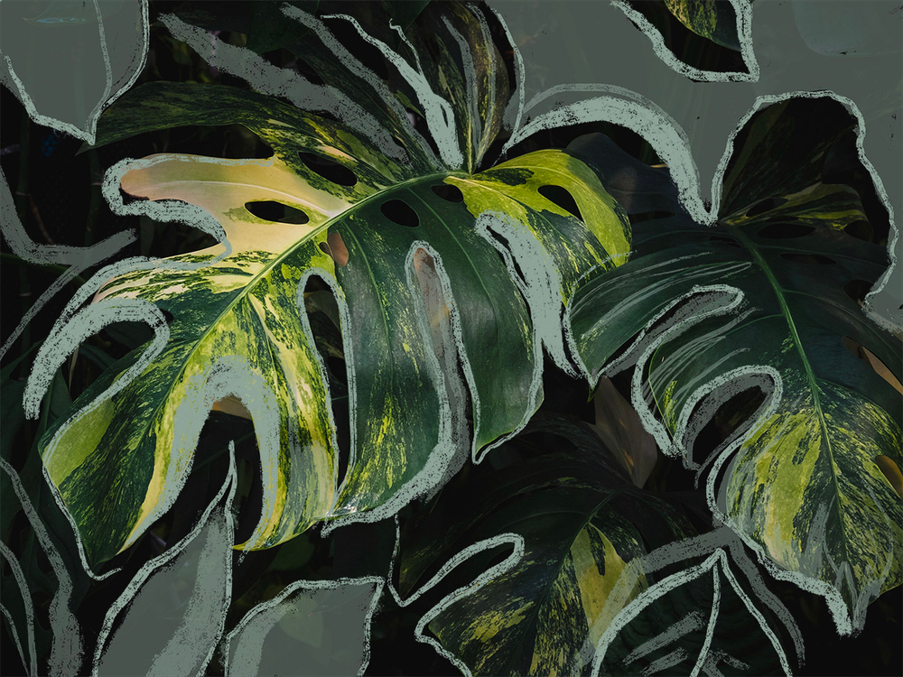 Дизайнерские обои Wall Street GreenDay-22