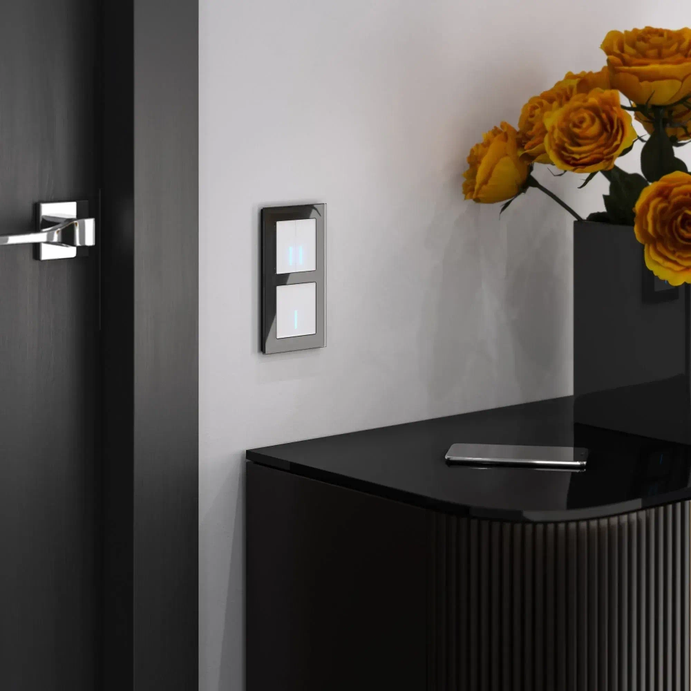 Рамка из  стекла на 2 поста Favorit черный W0021108