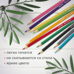 Карандаши цветные мягкие BRAUBERG АКАДЕМИЯ 12 цветов, шестигранные, грифель 3 мм, 181864