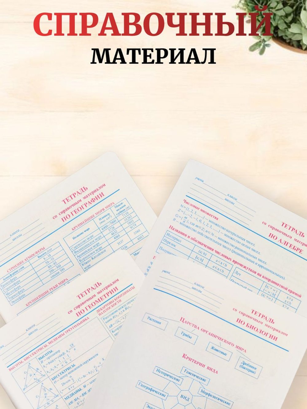 Комплект (10 шт.) предметных тетрадей 48л. ArtSpace "Новый взгляд"