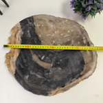 Набор из окаменелого дерева 4 предм Fossil Set NF-63063 поднос 33см*38см