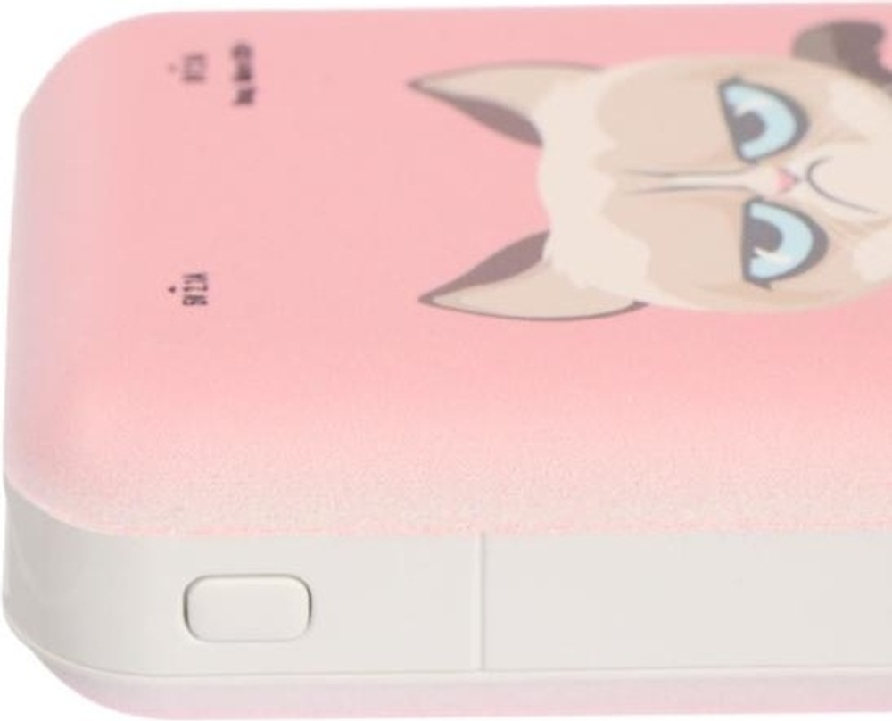 Внешний аккумулятор Ritmix RPB-10007 Grumpy Cat 10000 mAh