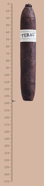 Liga Privada Unico Serie Feral Flying Pig