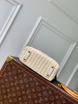 Louis Vuitton Capucines Mini