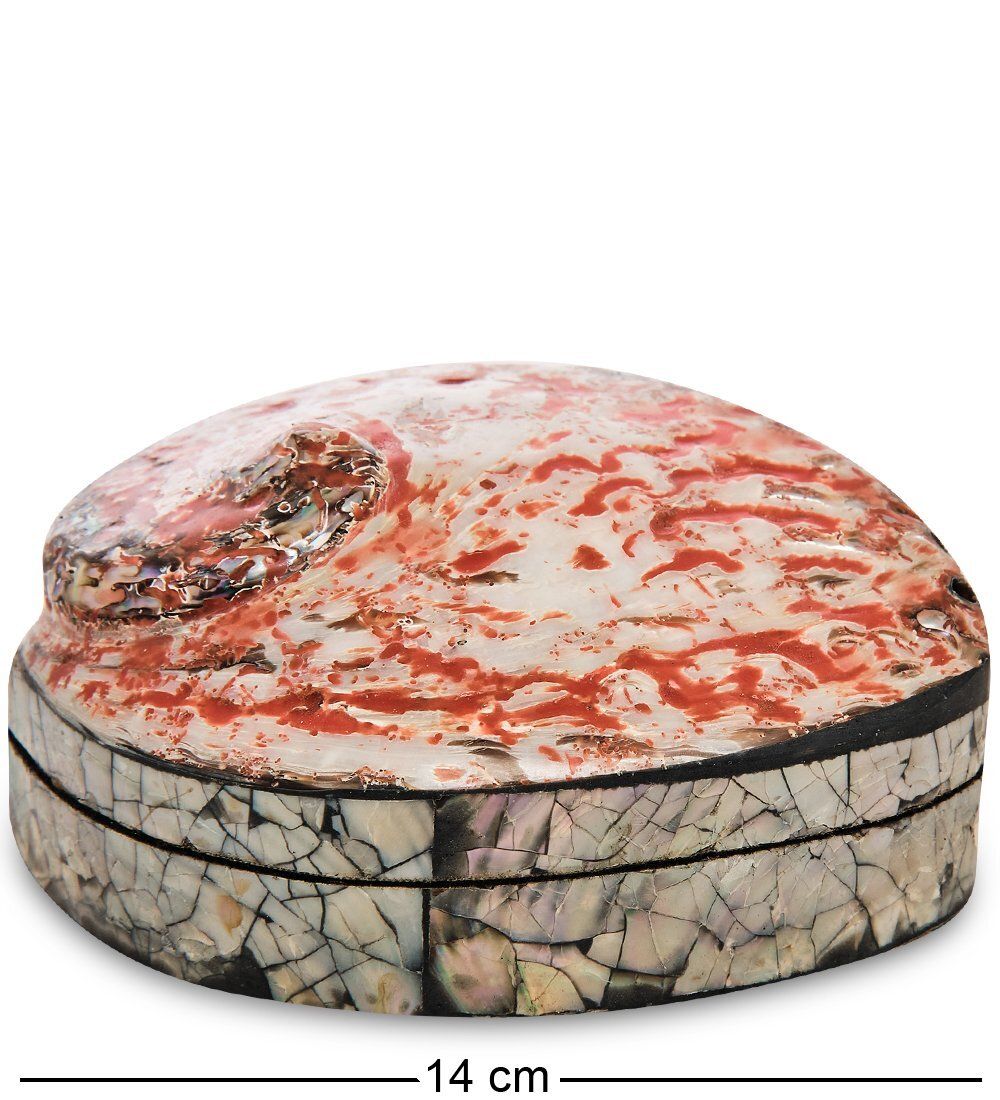 Decor and Gift 54-014 Декоративная шкатулка «Ракушка»