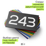 Номер на дверь 243, табличка на дверь для офиса, квартиры, кабинета, аудитории, склада, черная 120х70 мм, Айдентика Технолоджи