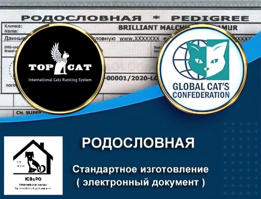 Родословная (GCC или TOP CAT) - срочное изготовление до 3 дней