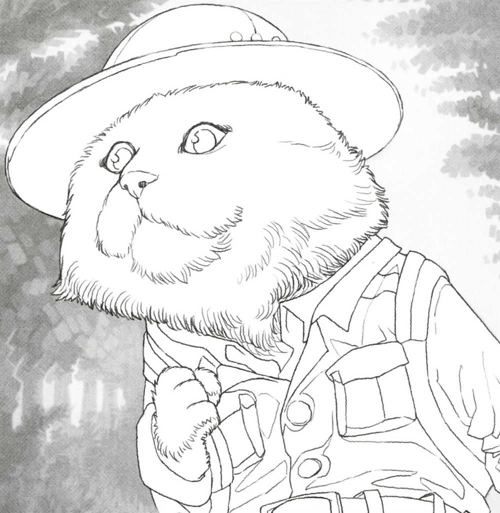 100 Cats. Coloring Book