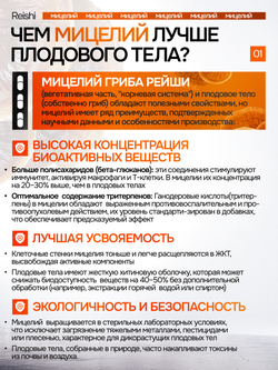 Рейши Линчжи 90 капсул