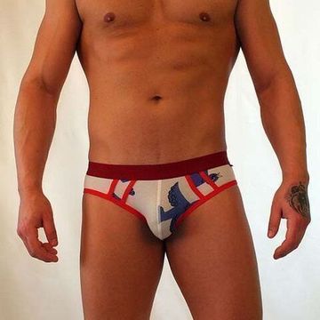 Трусы мужские брифы светло-серые с красной резинкой Van Baam VB-421-AN021