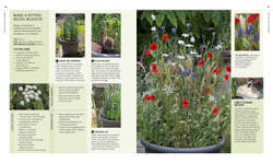 New Wild Garden: Natural-Style Planting and Practicalities
