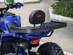 LION 200R синий