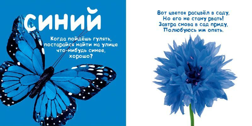 Цвета. Солнечная фото-книга (дополнительный тираж)