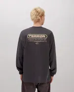 Лонгслив Anteater x Terror Snow Серый