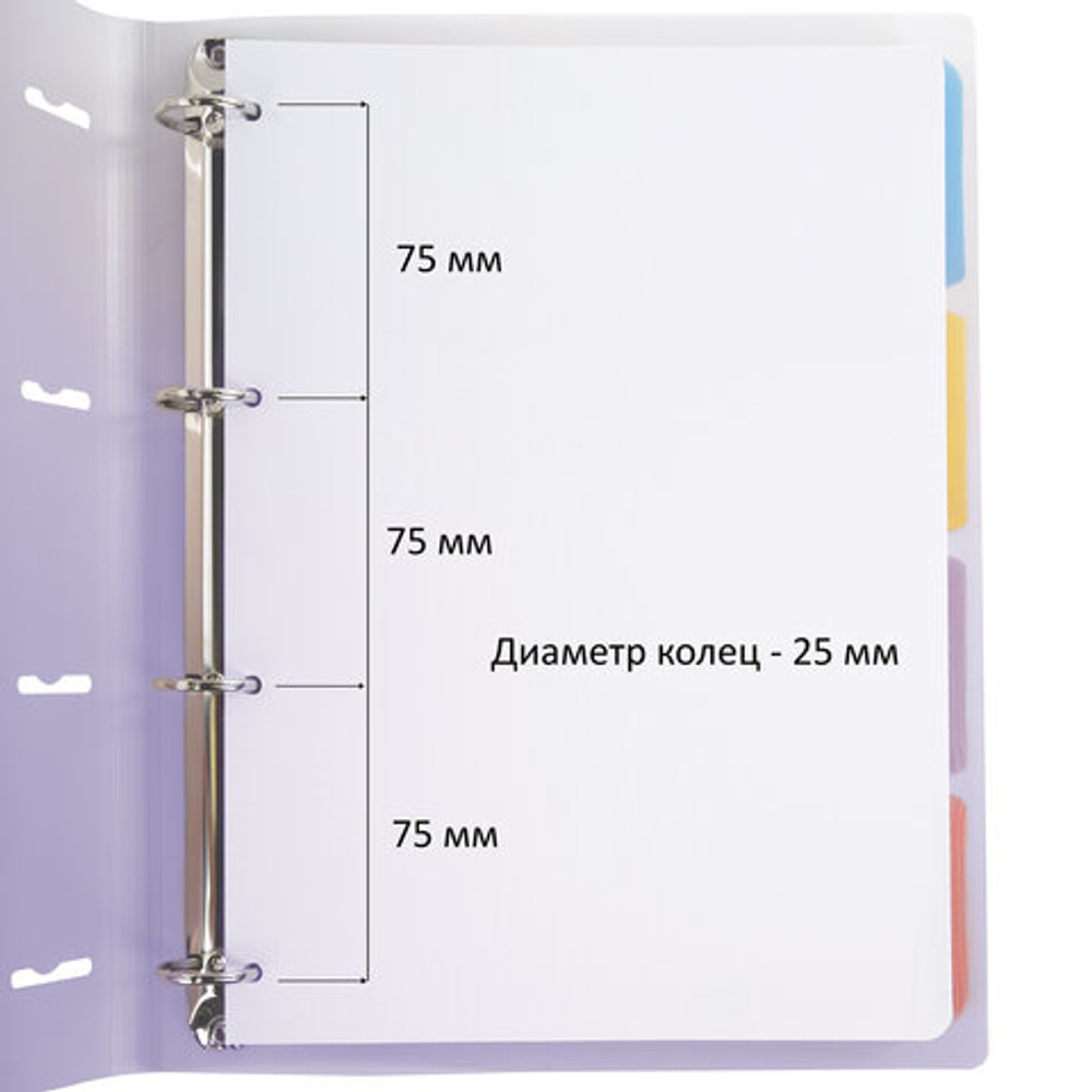 Тетрадь на кольцах БОЛЬШАЯ 305х235мм А4, 120л, пластик, с разделителями, BRAUBERG, Фиолетовый,404623