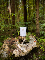 Сухой корм SHAMAN "Дух дикой природы" Оленина с брусникой 1 кг; мелкая гранула; для взрослых собак; Класс Холистик