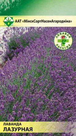 Лаванда