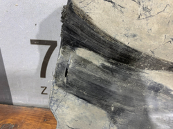 Пыльник переднего бампера Haval F7 1 19-24 Б/У Оригинал 5174101XKQ00A