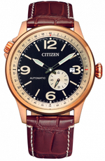 Мужские наручные часы Citizen NJ0143-19E