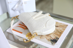Christian Dior Saddle Bag 21 cm