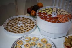 Электросушилка овощей ВОЛТЕРА 1000 ЛЮКС с таймером