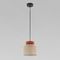 Подвесной светильник TK Lighting 3139 Duo