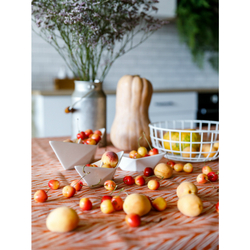 Скатерть 170х170 Tkano Russian North Колосья