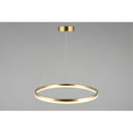 Подвесная светодиодная люстра Aployt Armel APL.049.13.40