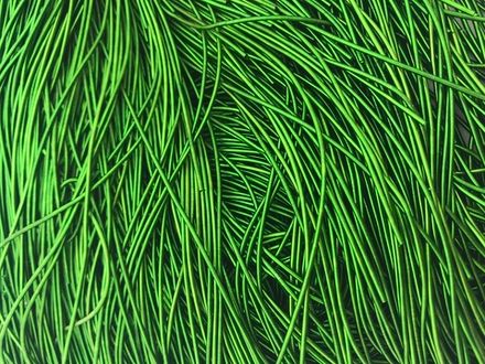 Güləbəttin yumşaq 00047