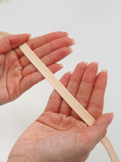 Туннельная лента пион ширина 10 мм