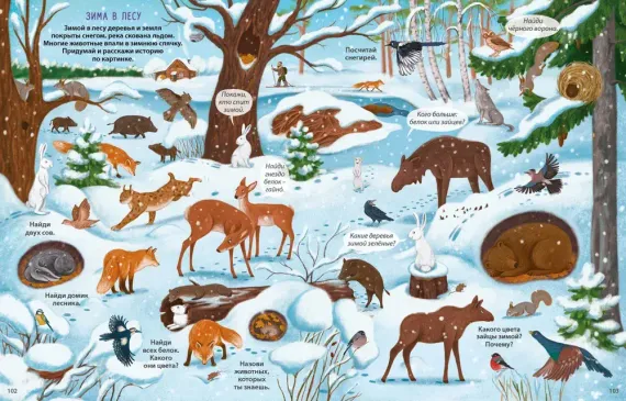 Виммельбух с наклейками. В лесу