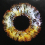 David Bowie / Earthling (2LP)